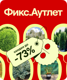 Акция