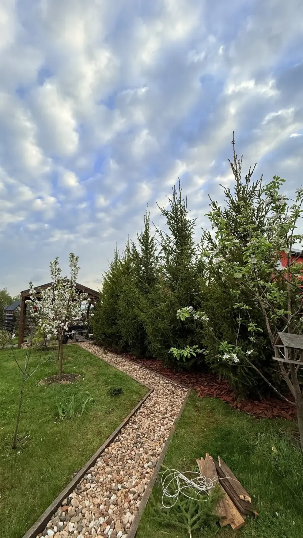 Груша Мраморная