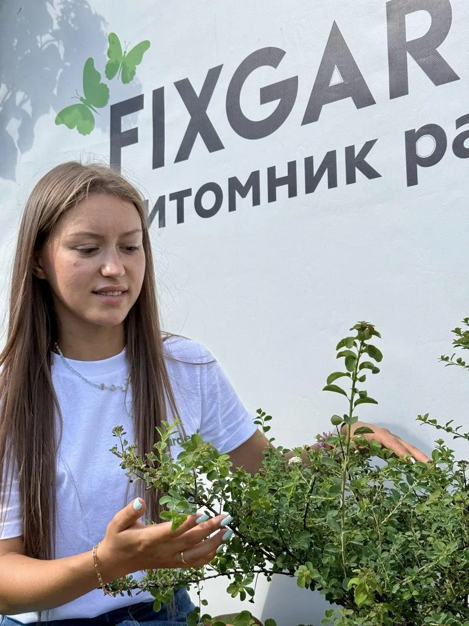 Спирея ниппонская Сноумаунд