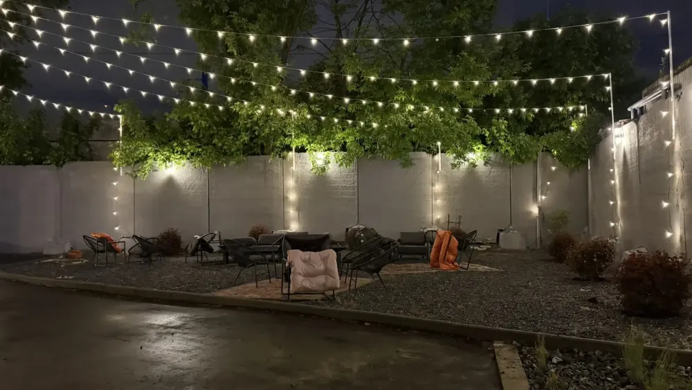 Пузыреплодник калинолистный Тайни Вайн