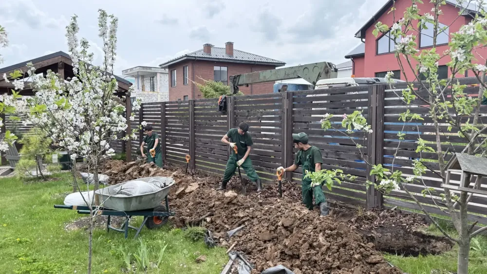 Груша Яковлевская