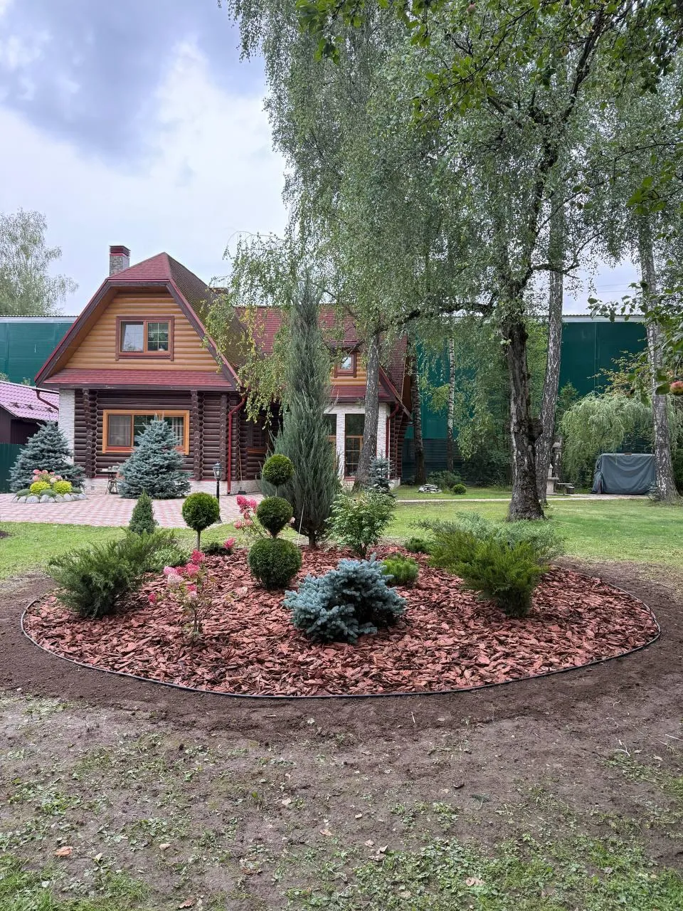 Туя западная Смарагд